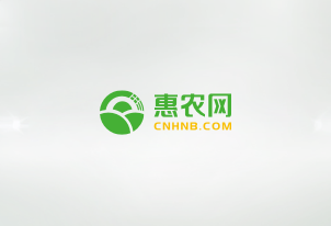 武冈市商务局局长乔梁一行到惠农网走访，探讨县域电商产业发展、农旅融合以及后续合作方向